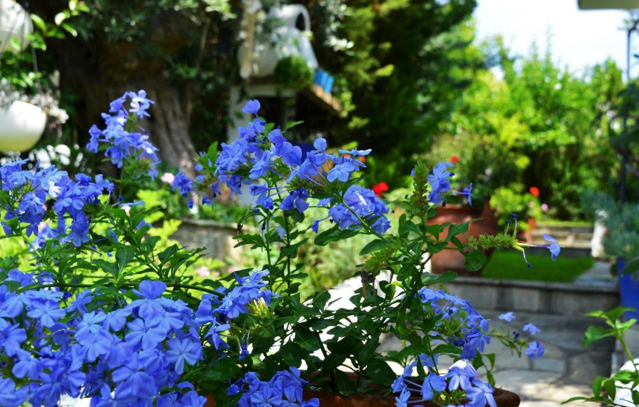 Вилла Sonia'S House With Garden Геракини Экстерьер фото